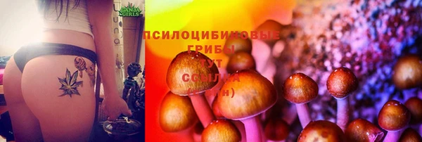 молекула духа Абаза