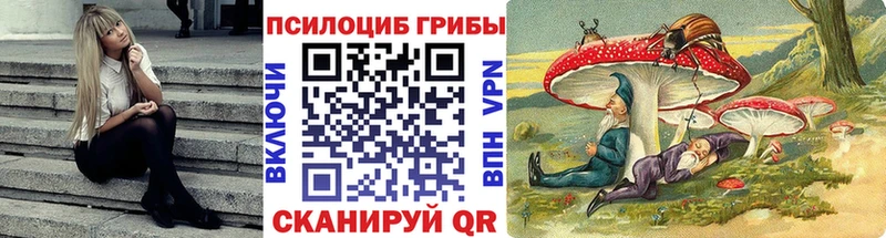 Псилоцибиновые грибы прущие грибы  Чухлома 